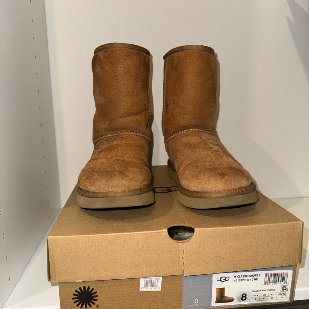 Chestnut Uggs